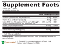 Load image into Gallery viewer, Methyl Protect® 60 Capsules Supplement Facts